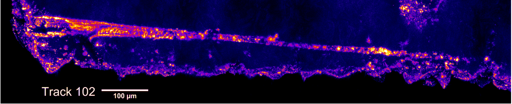 LSCM map of Stardust Track 102